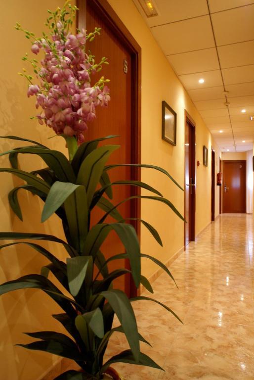 Hotel Mont-Roig Εξωτερικό φωτογραφία